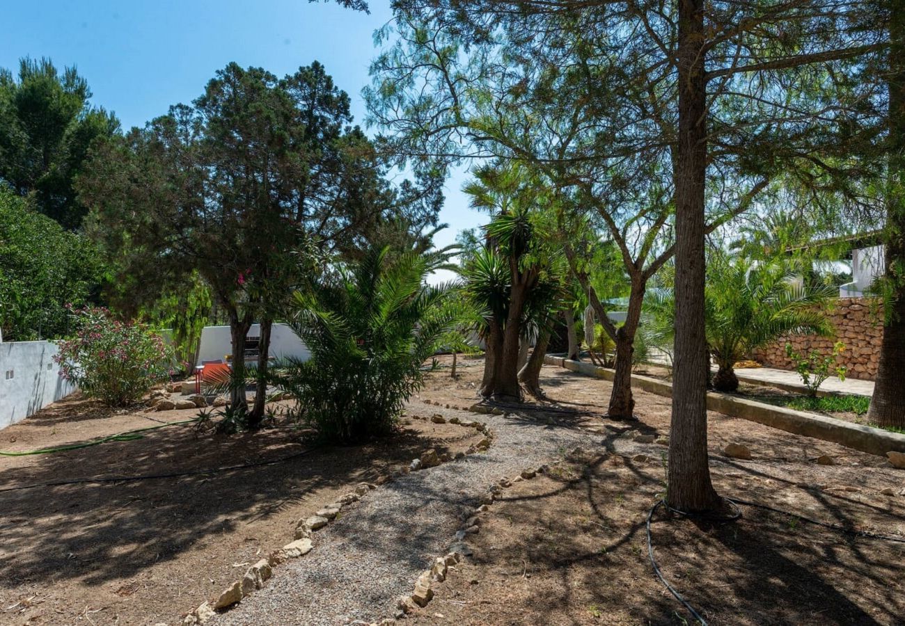 Ferienhaus in Sant Antoni de Portmany - CASA DANY