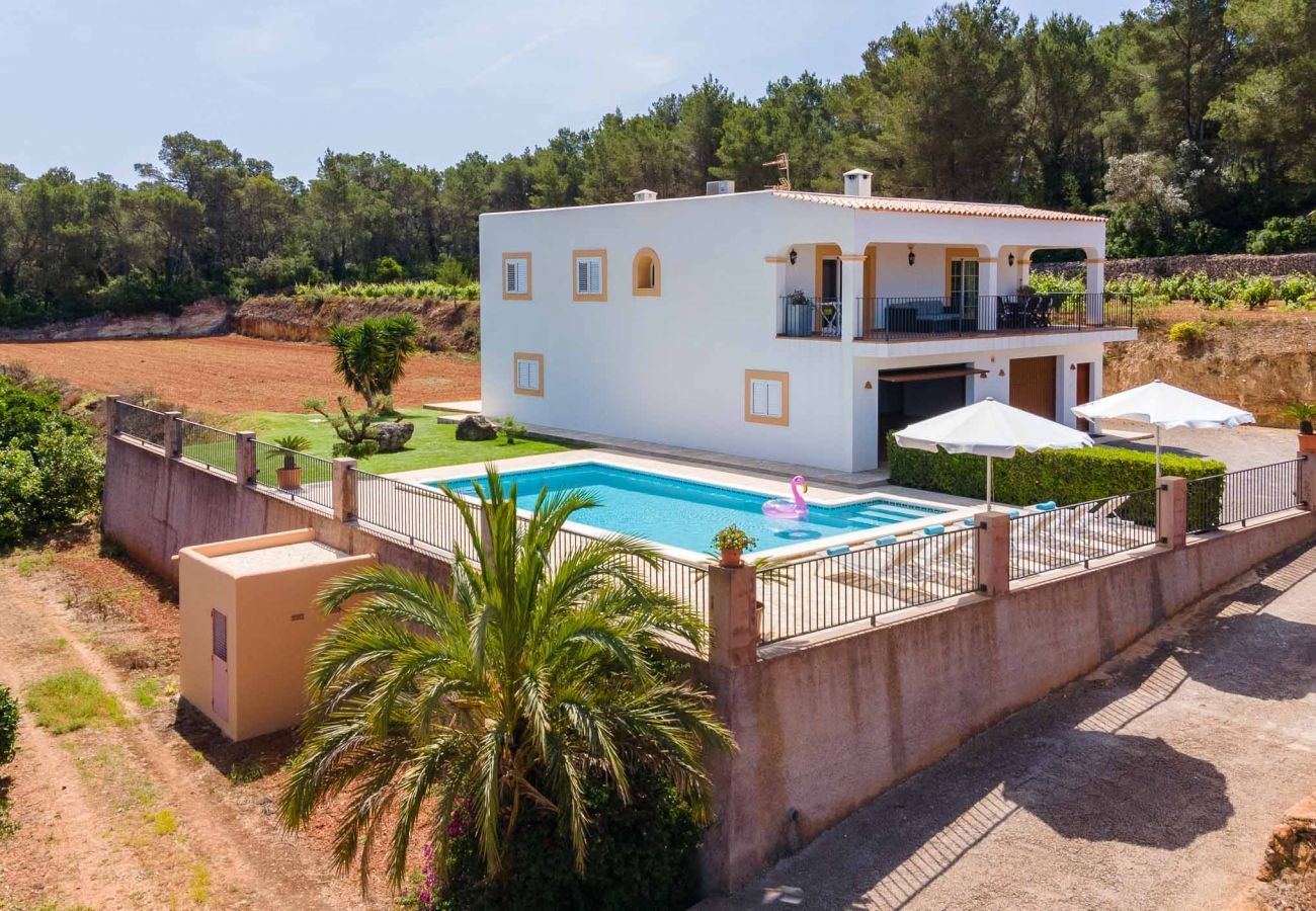 Ferienhaus in Santa Gertrudis - CASA TINTO