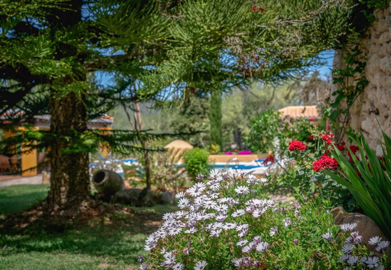 Villa in Santa Eulària des Riu - CAN TREE I