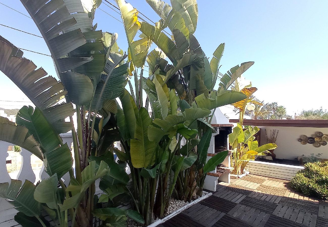 Villa in Can Ramón - INIBIZA VILLA JUNCOS