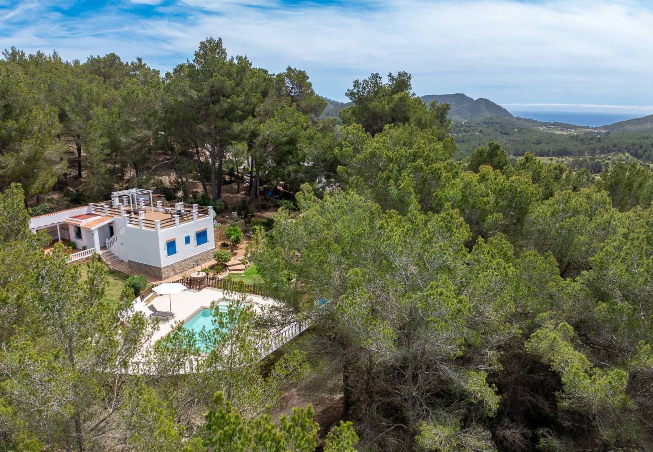 Villa in Santa Eulària des Riu - CASA ES PUIG
