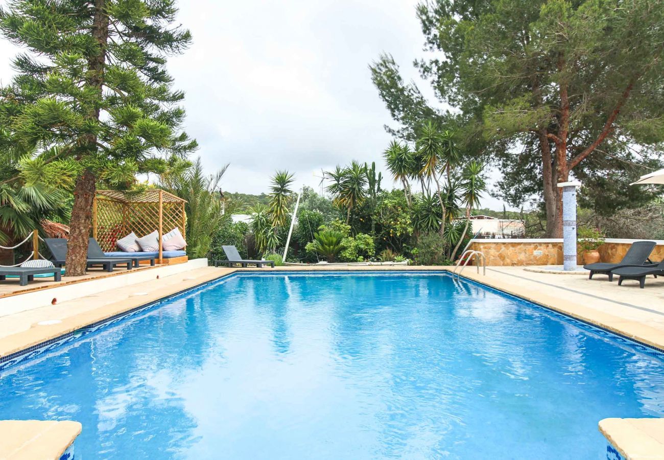 Piscina de la Villa Estrella Moli en Ibiza