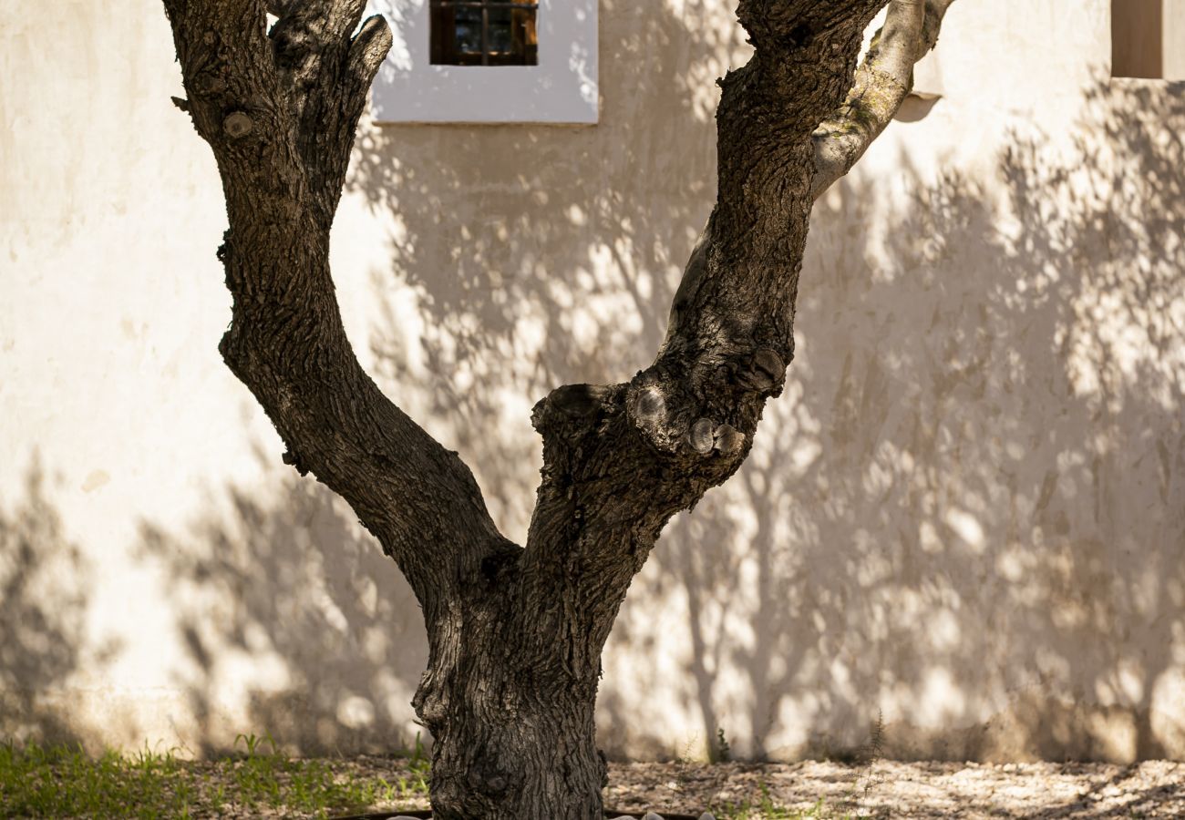 Villa en Sant Francesc de Formentera - CAN NOVES - Villa de 3 suites