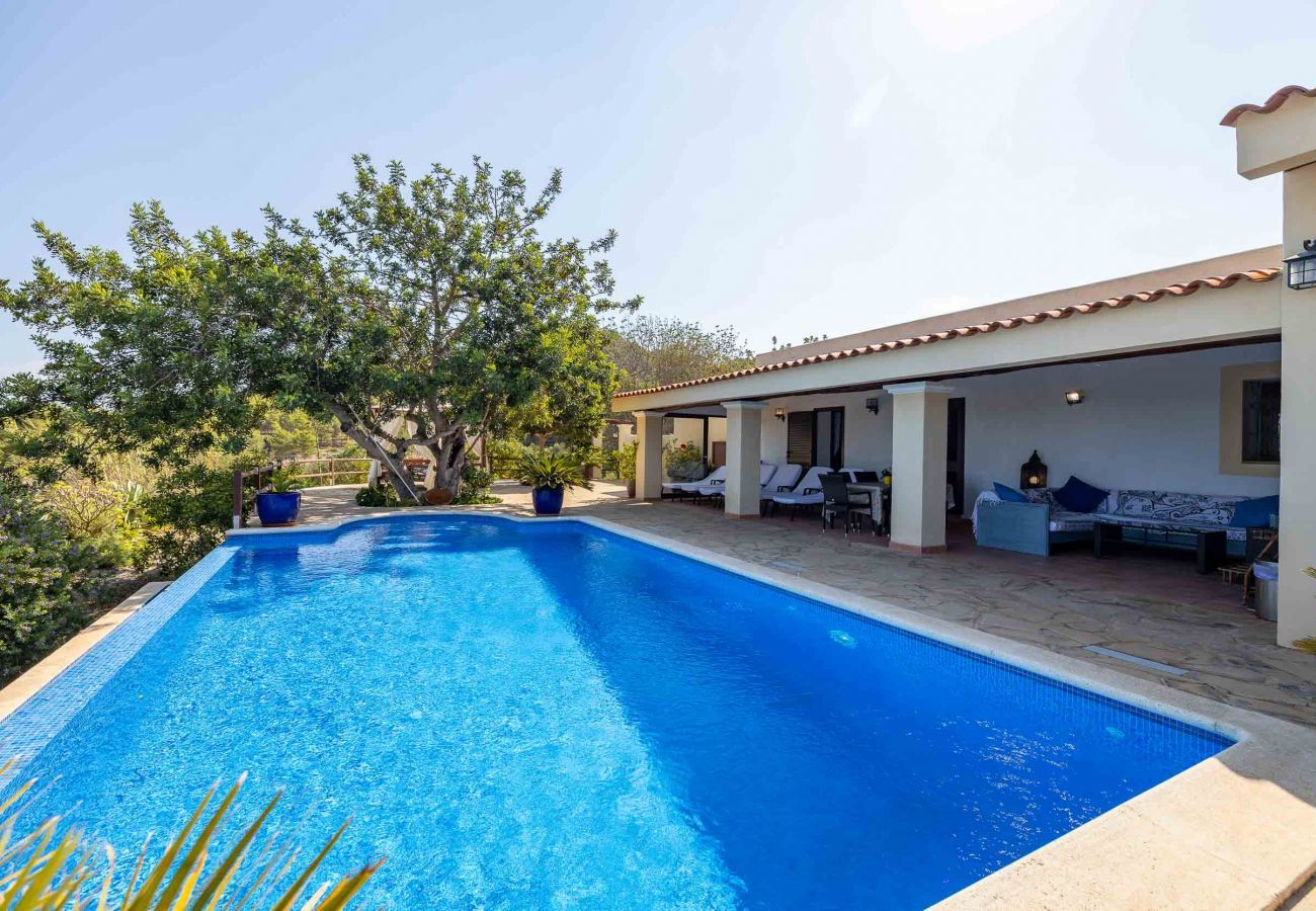 Piscina y vistas desde la Casa Berry en Ibiza