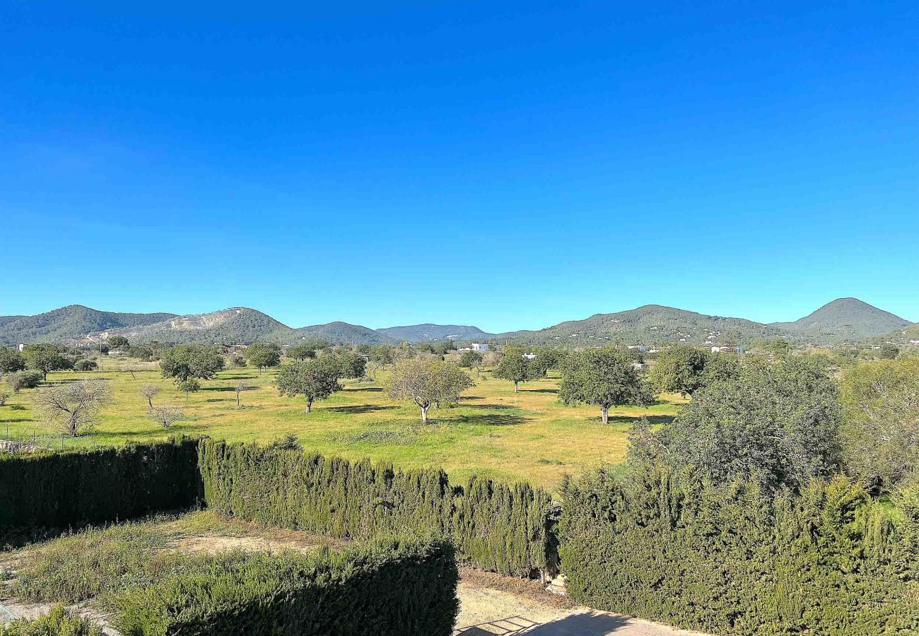 Villa en Sant Jordi de Ses Salines - VILLA OASIS