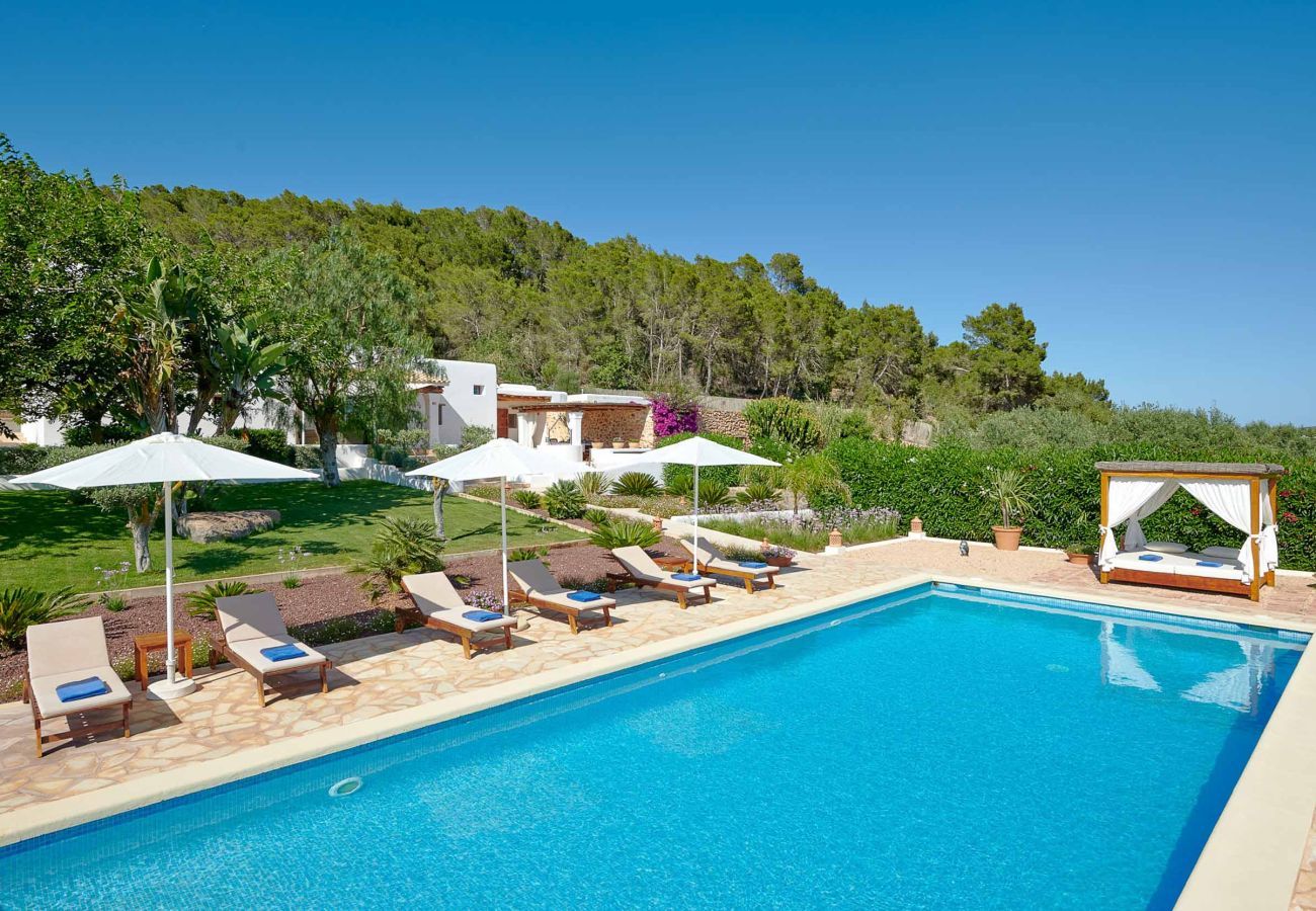 Finca en Santa Gertrudis - FINCA ROIG