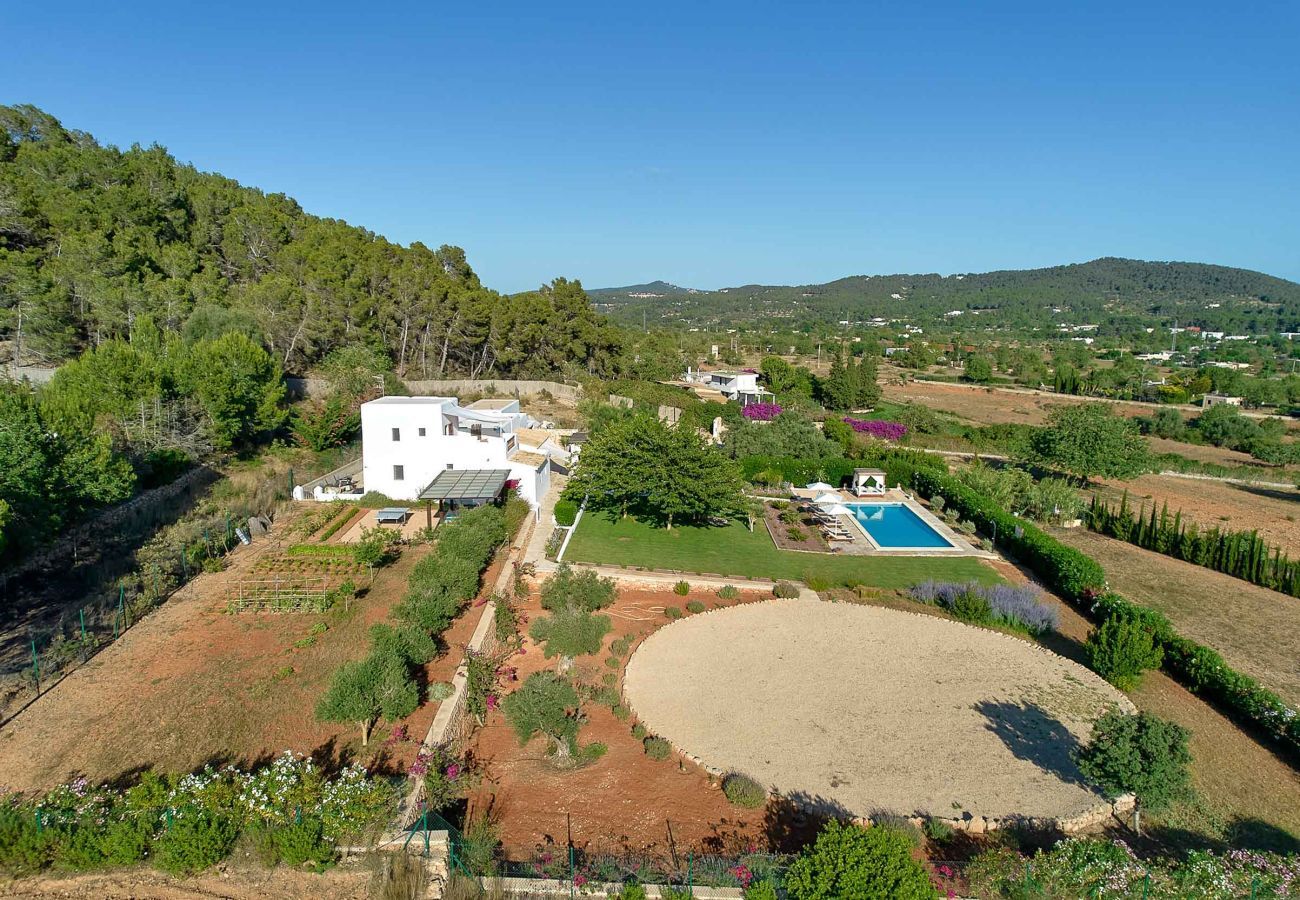 Finca en Santa Gertrudis - FINCA ROIG