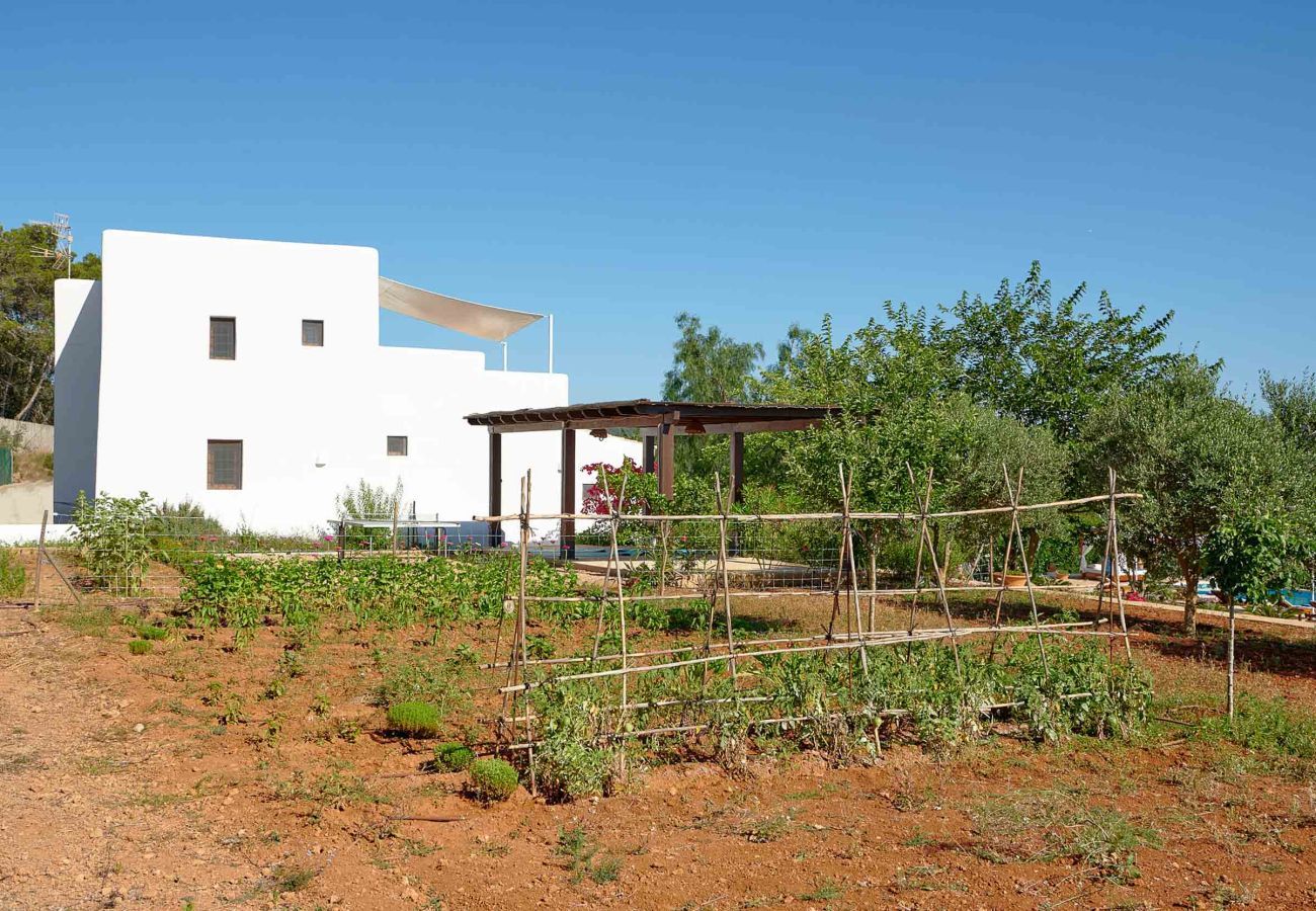 Finca en Santa Gertrudis - FINCA ROIG