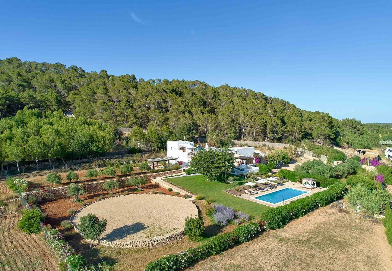 Finca en Santa Gertrudis - FINCA ROIG