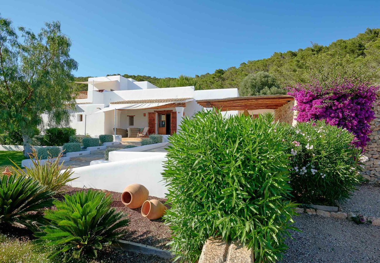Finca en Santa Gertrudis - FINCA ROIG