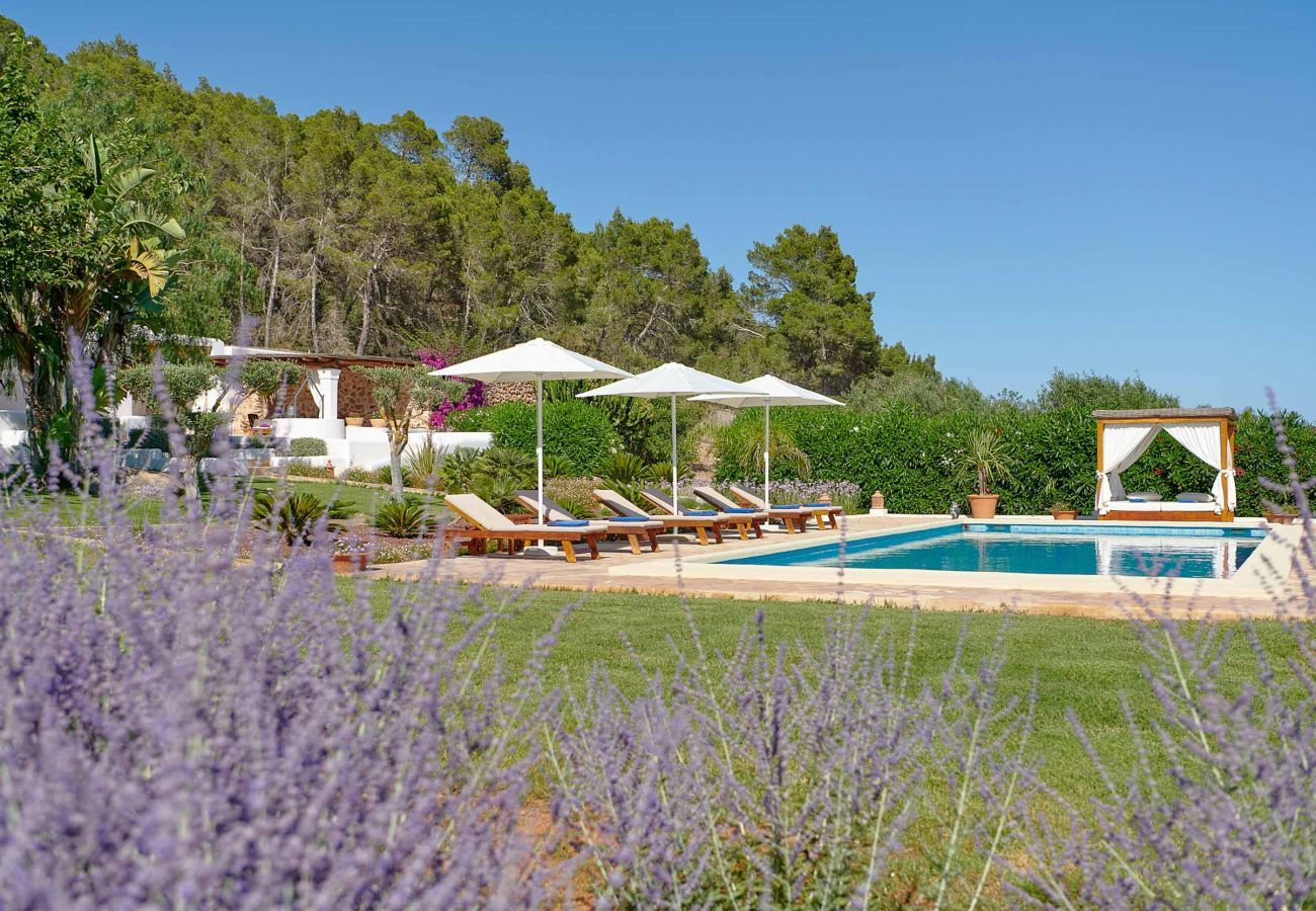 Finca en Santa Gertrudis - FINCA ROIG