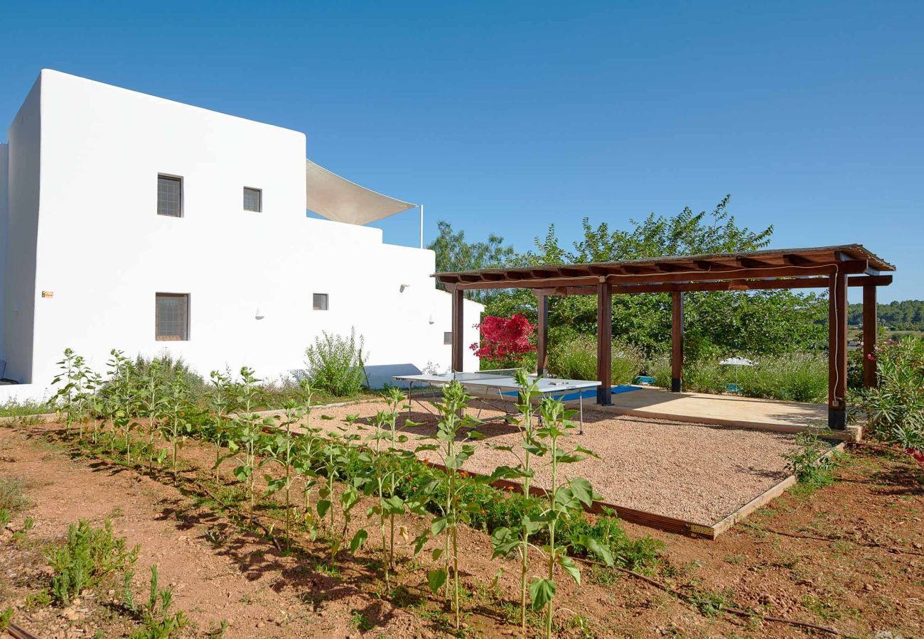 Finca en Santa Gertrudis - FINCA ROIG