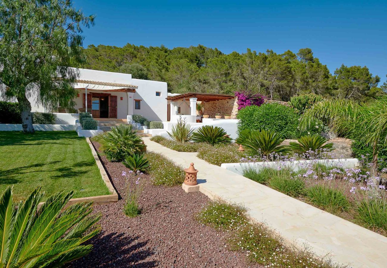 Finca en Santa Gertrudis - FINCA ROIG