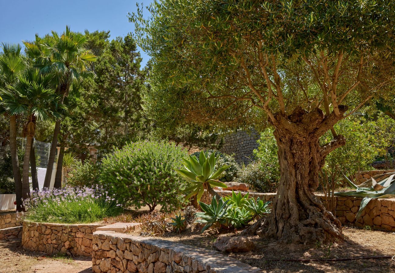 Villa à Sant Josep de Sa Talaia - CASA TRES