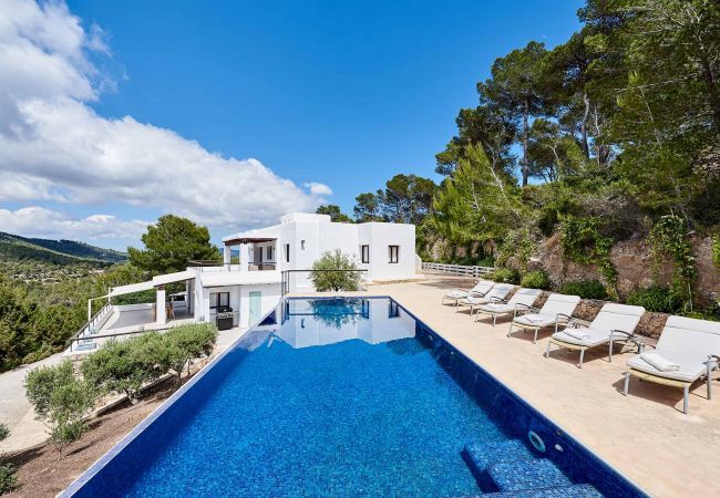 Swimming pool and natural surroundings of Villa Crypto in Ibiza