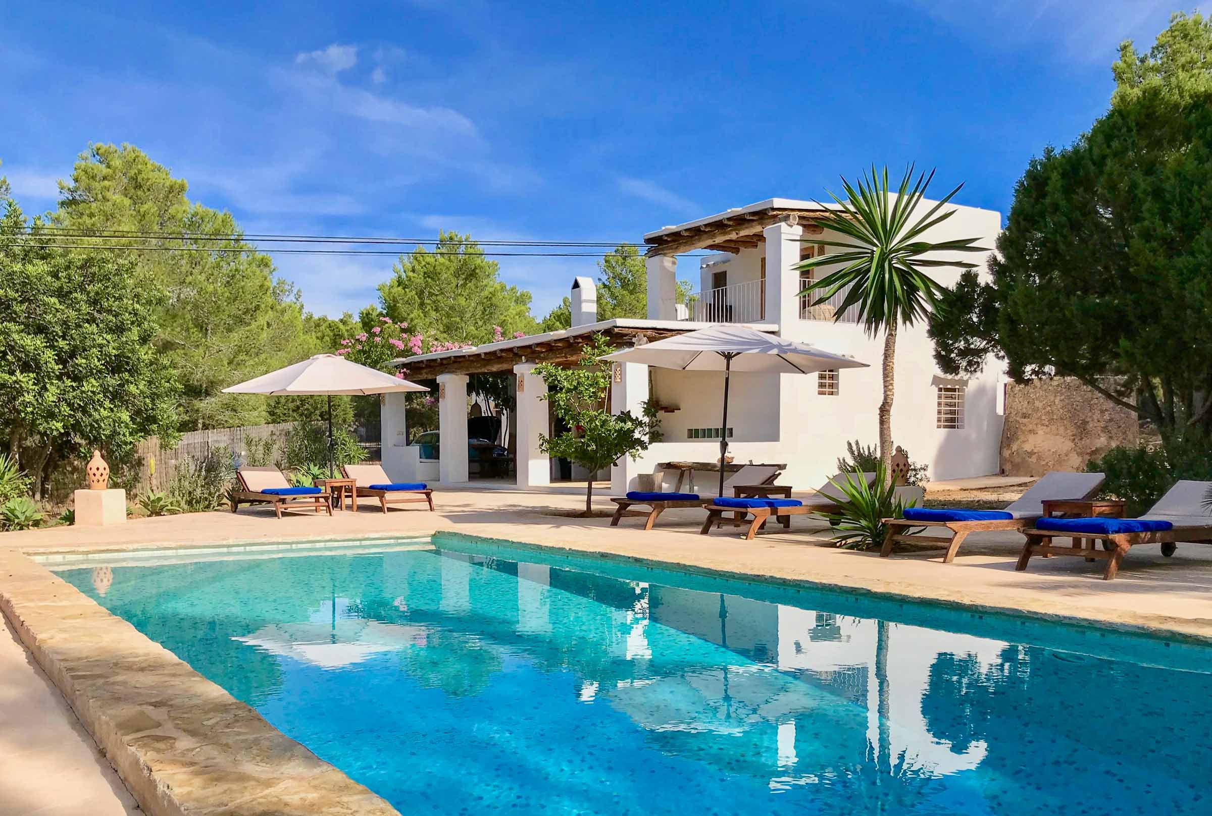 View of the private pool and terrace with the natural surroundings of Villa Saljub