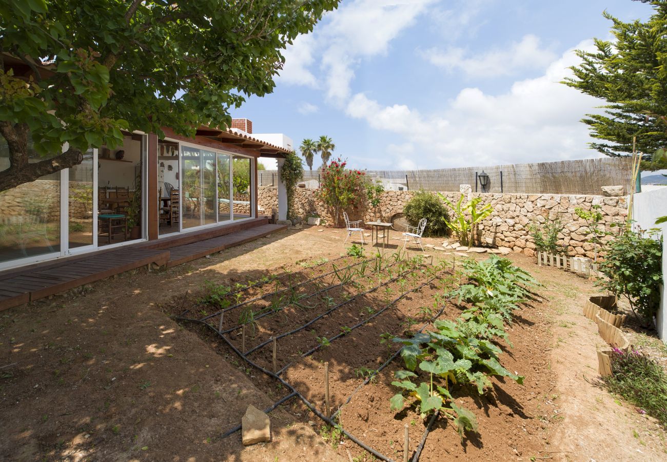 Villa in Sant Antoni de Portmany - CAN LUCIA