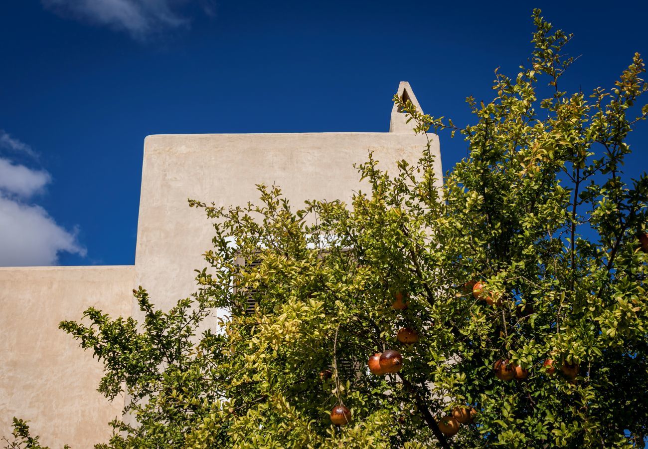 Villa in Sant Francesc de Formentera - CAN NOVES - Villa de 3 suites