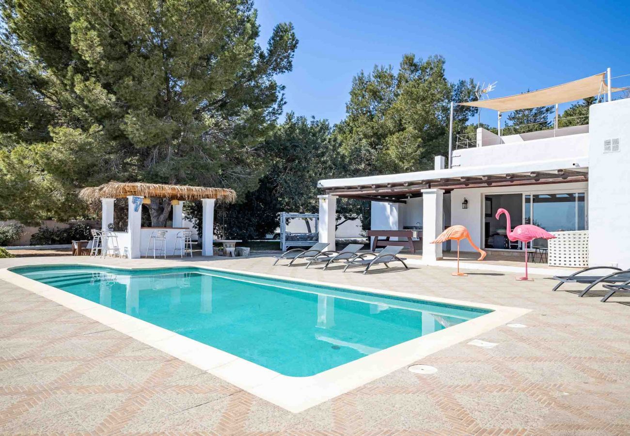 Private swimming pool of Villa Cana esmeralda Ibiza