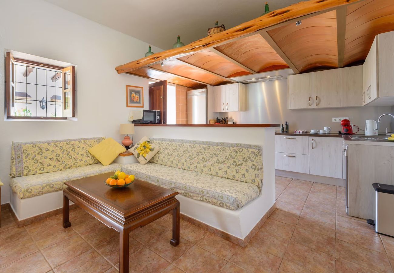 Country house in Santa Eulalia des Riu - CAN COSMI
