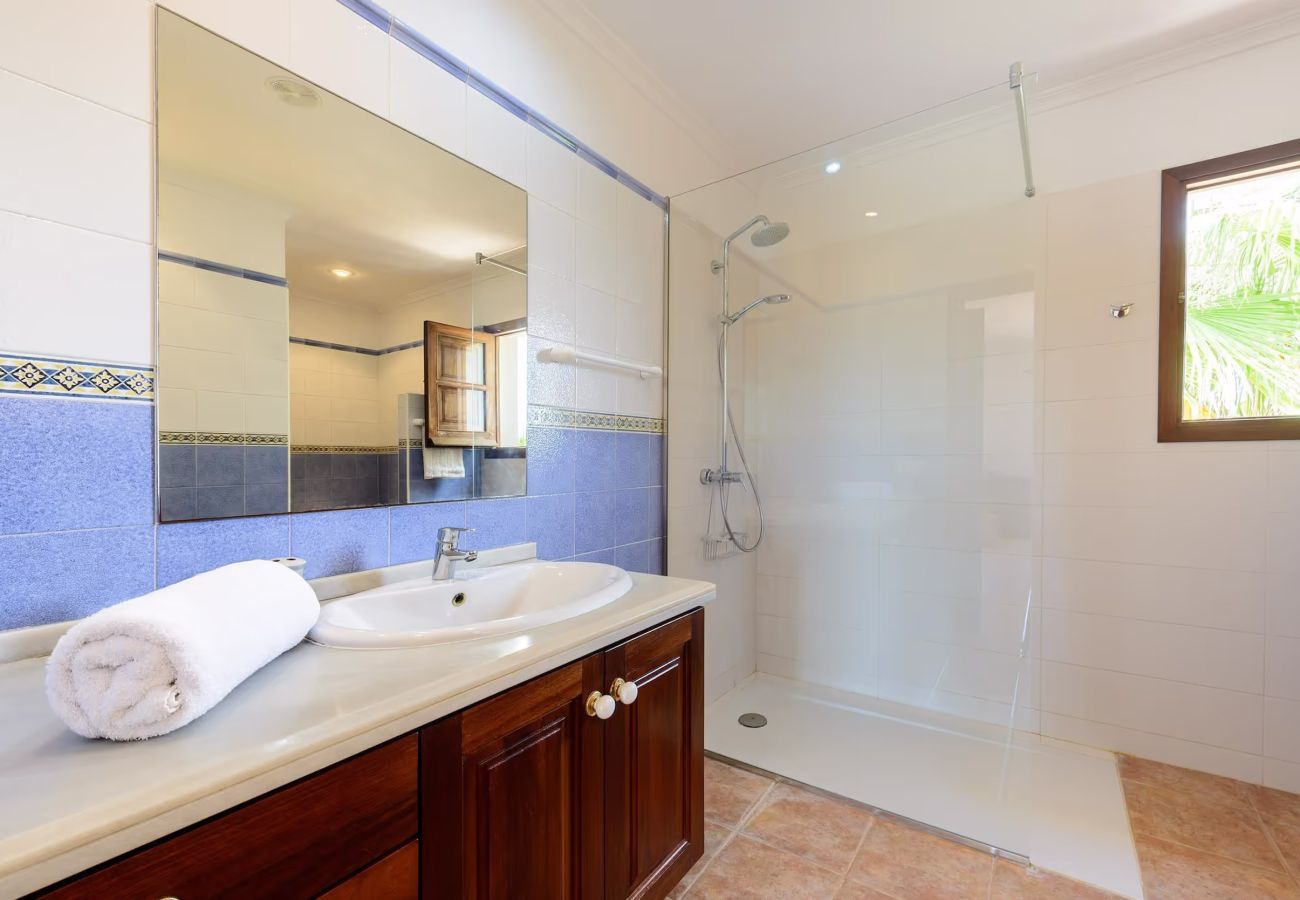 Country house in Santa Eulalia des Riu - CAN COSMI