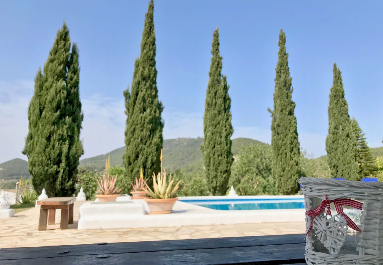 Villa in Sant Josep de Sa Talaia - CASA EL PALACIO