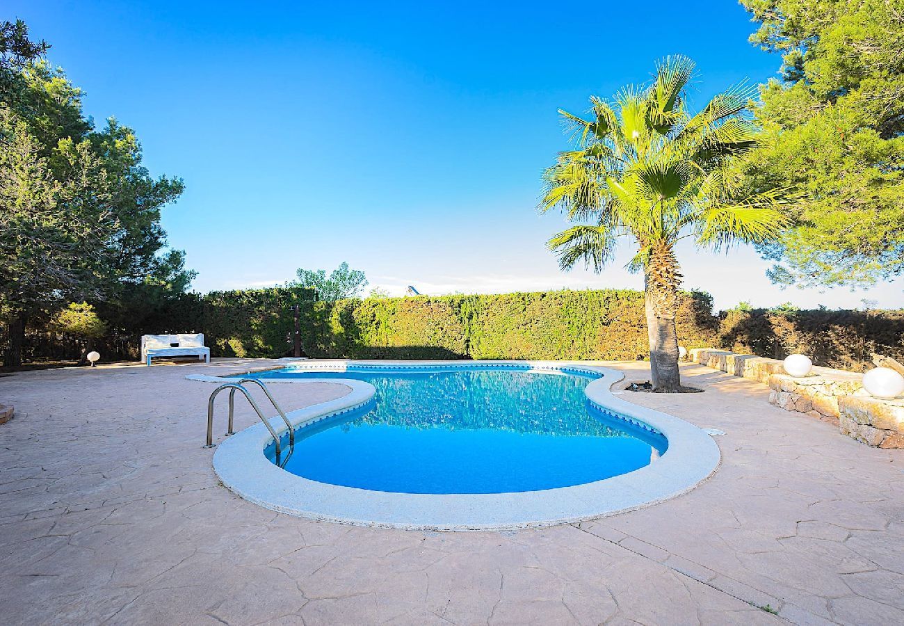 Villa in Sant Jordi de Ses Salines - INIBIZA VILLA OASIS