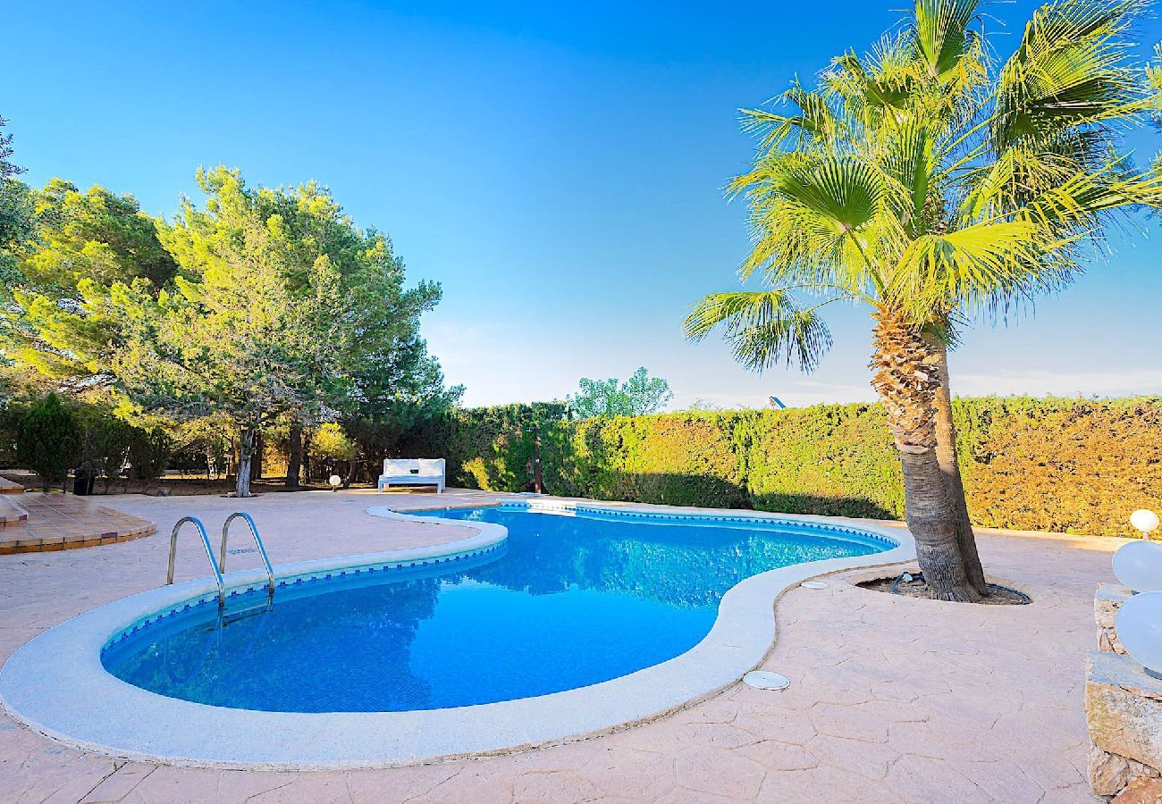 Villa in Sant Jordi de Ses Salines - INIBIZA VILLA OASIS
