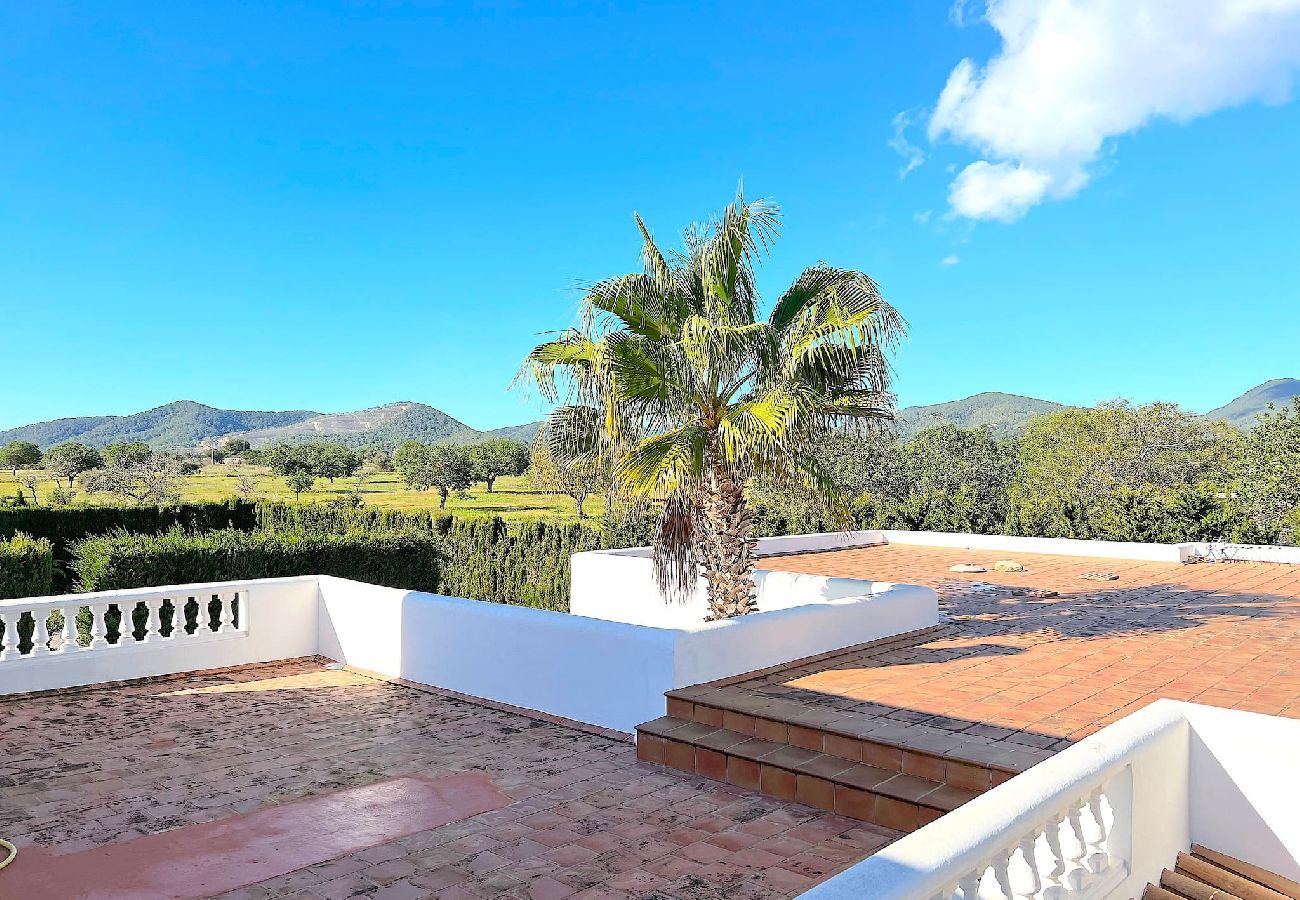 Villa in Sant Jordi de Ses Salines - INIBIZA VILLA OASIS