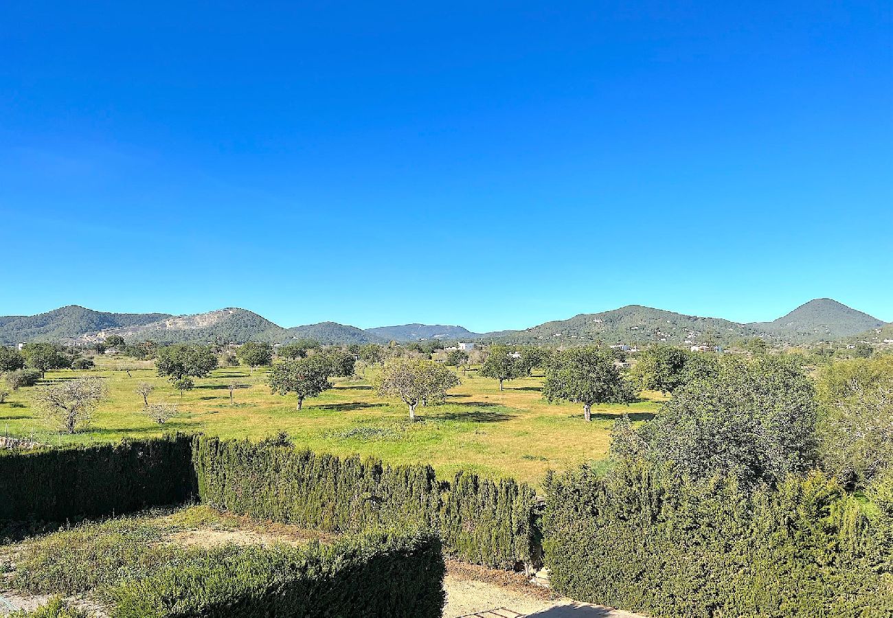 Villa in Sant Jordi de Ses Salines - INIBIZA VILLA OASIS