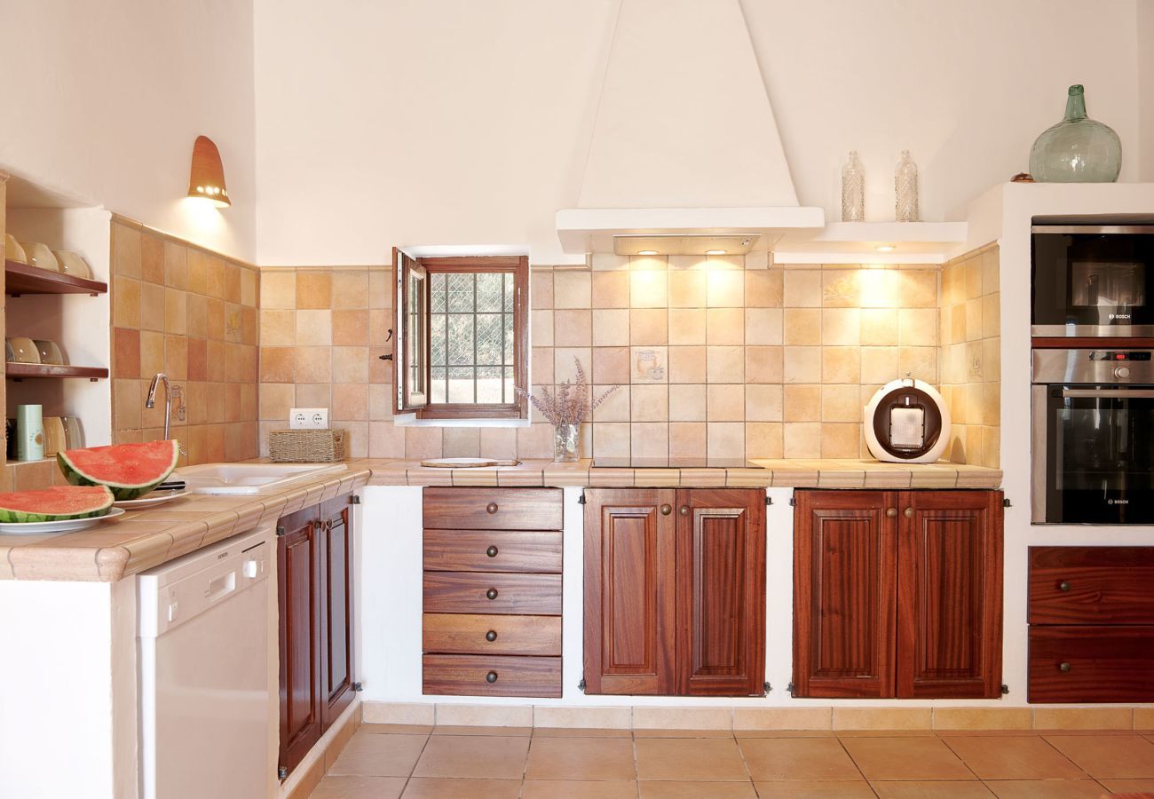 Country house in Santa Gertrudis - FINCA ROIG