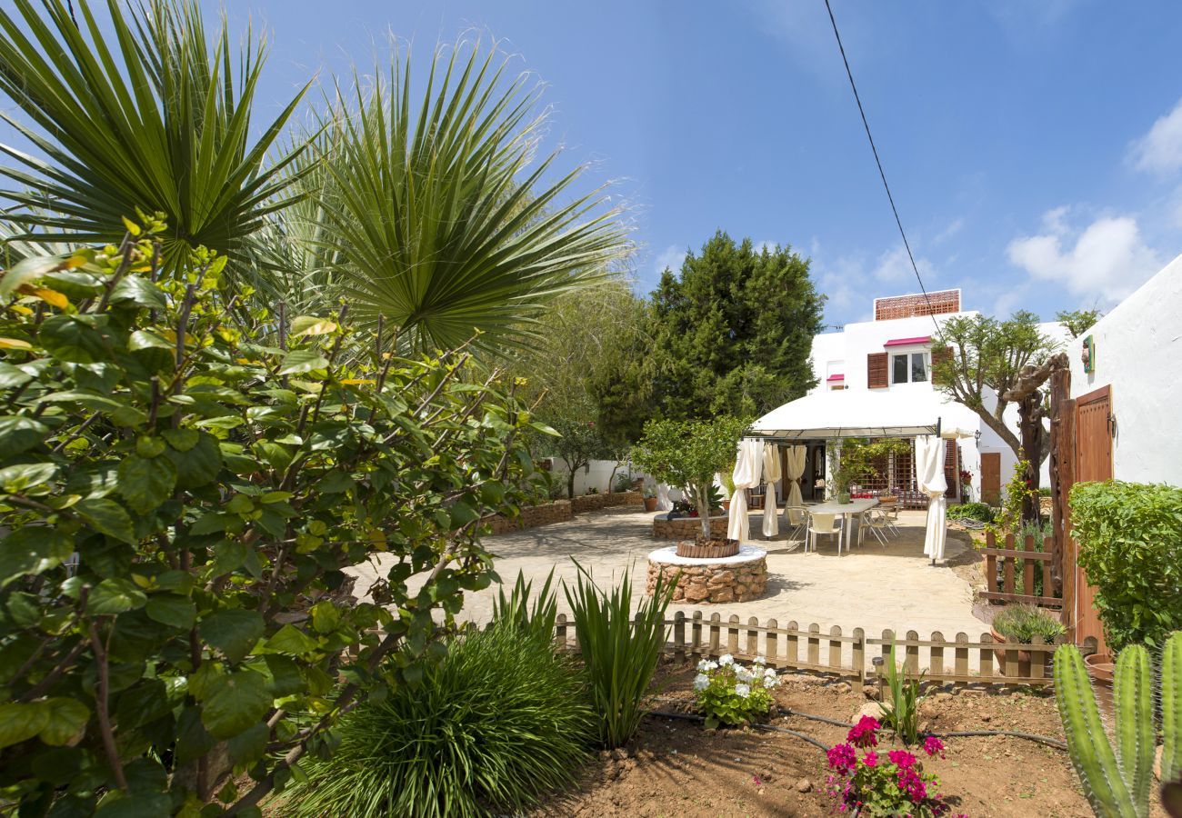 Private garden of this villa Can Lucia next to the beach of Sant Antoni in Ibiza.