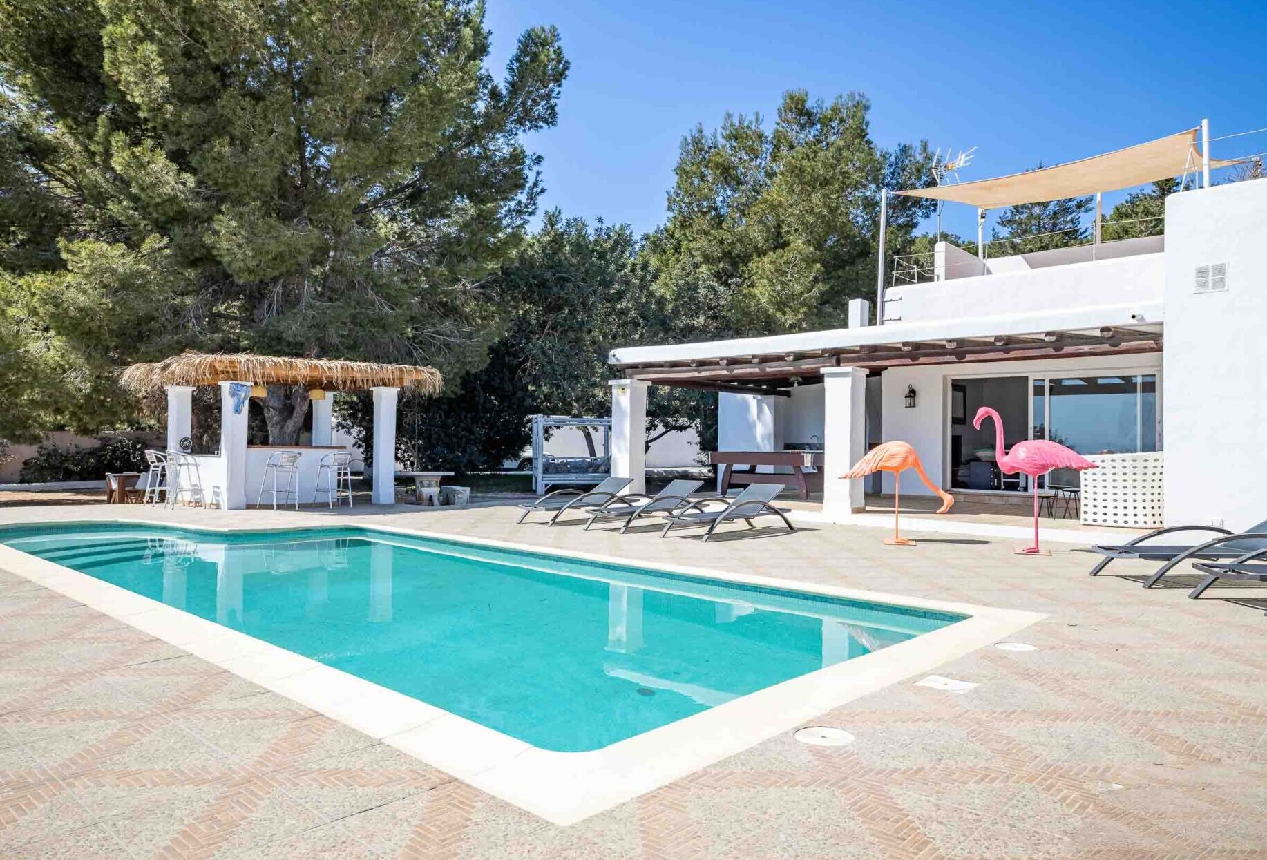 Cana Esmeralda Ibiza Eivillas Copia 2