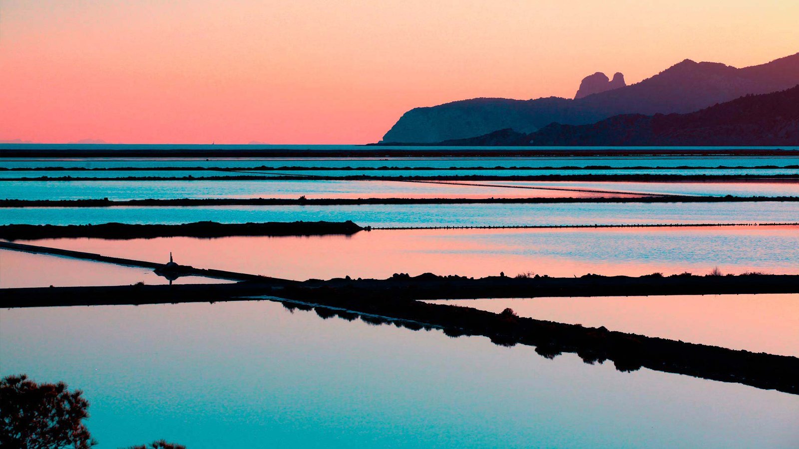Ses Salinas Ibiza
