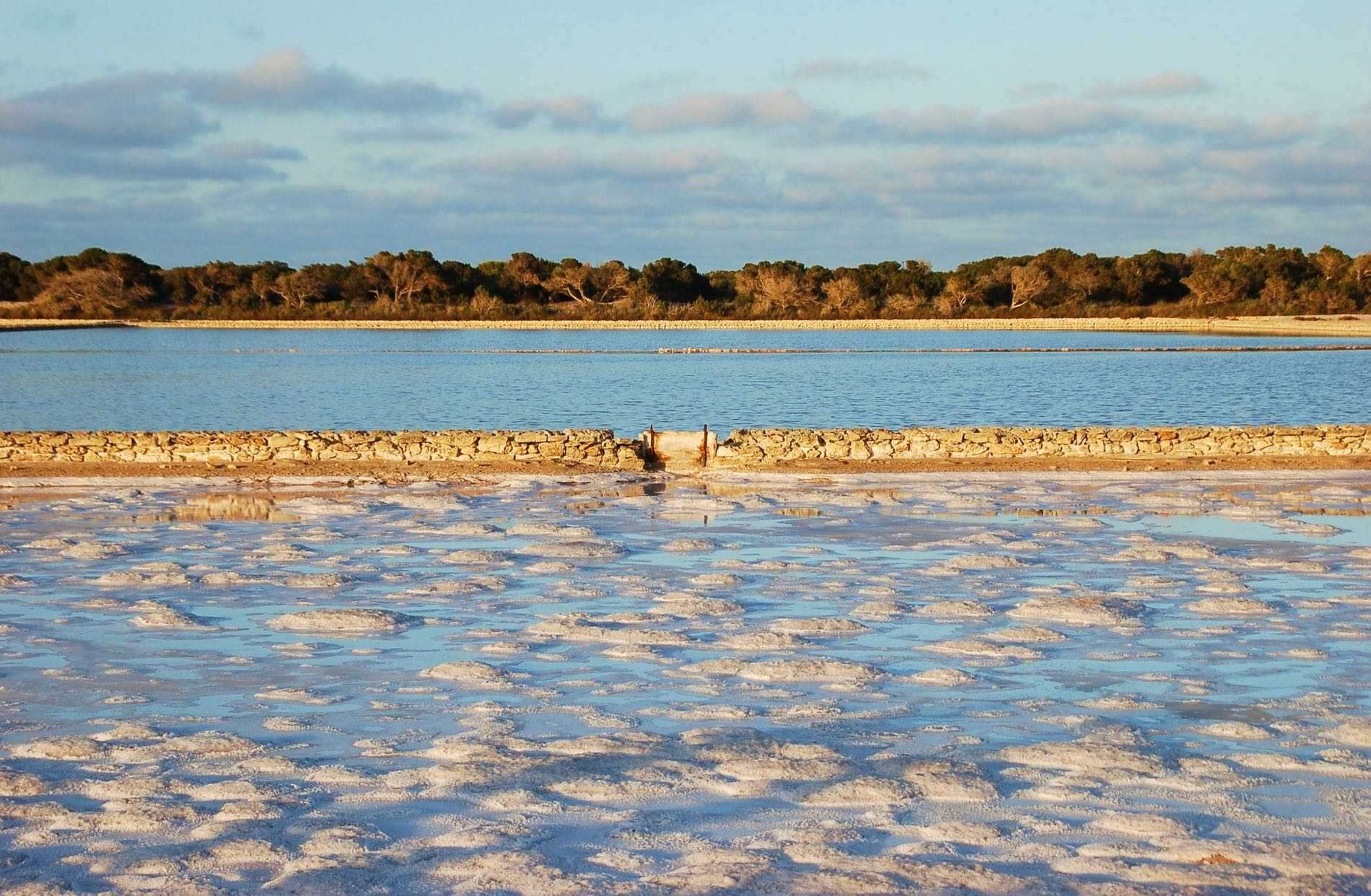 parc natural de ses salines