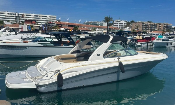 Sea Ray 295 SUMMER LUCKY
