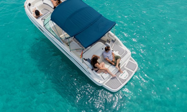 Sea Ray 260 Sundeck Oscar