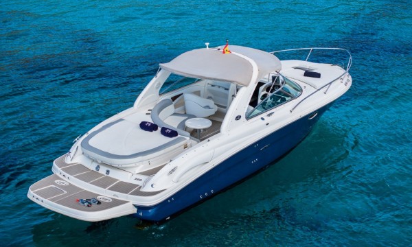 Sea Ray 295 Infinity