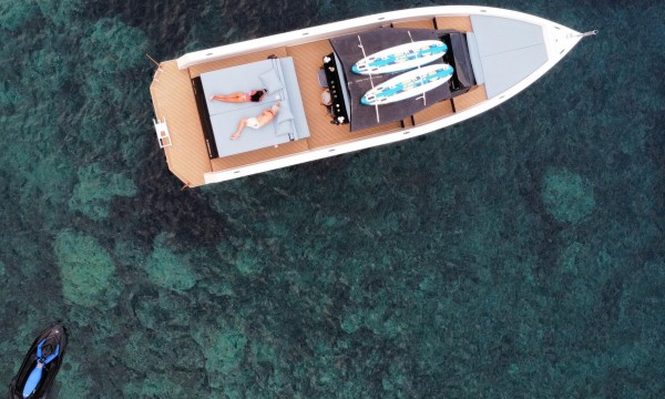 Scorpion 50 <br> - FREEDOM 6 -