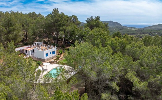 EsPuigEivillas