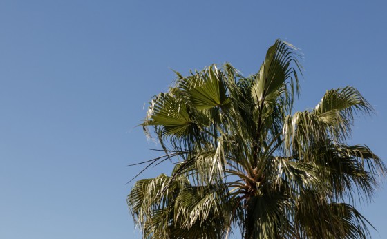 mariasantosphotography_Jesus26