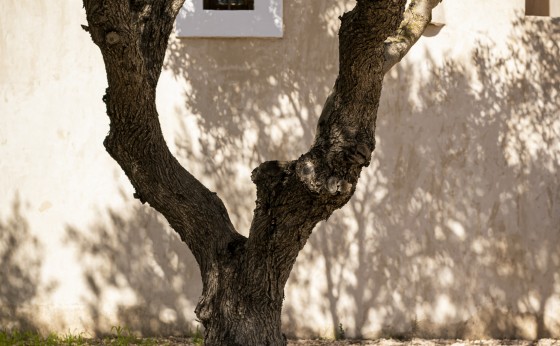 mariasantosphotography_FORMENTERA_Alta46