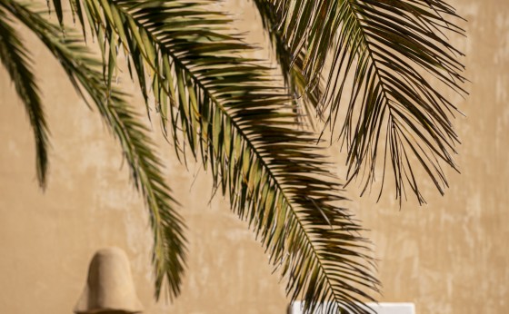 mariasantosphotography_FORMENTERA_Alta196
