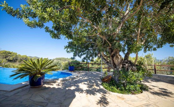 CasaBerryEivillas