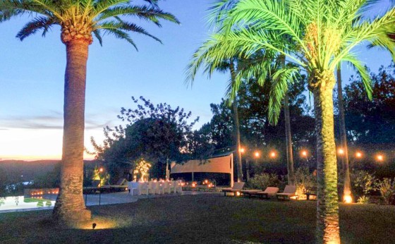 Casa la Vista palm trees at night
