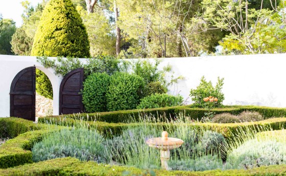 Casa la Vista courtyard garden