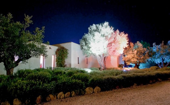 CasalaVista night