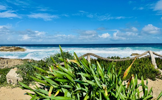 Astbury_Formentera_Campanitx_Villas_Es_Calo22