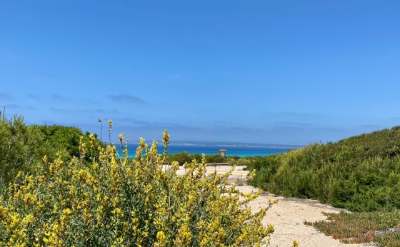 Astbury_Formentera_Playa_Migjorn_Casa_Stefi10