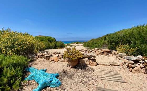 Astbury_Formentera_Playa_Migjorn_Casa_Stefi9